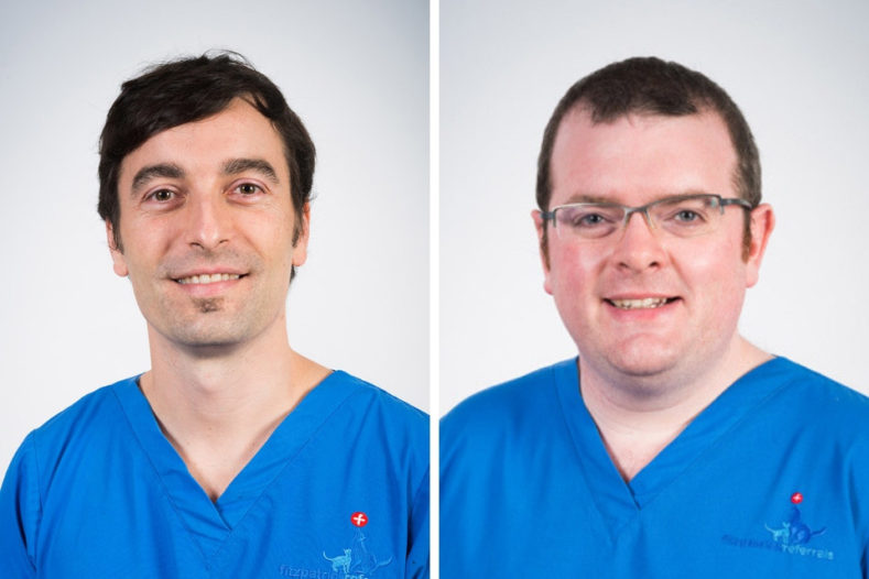 Miguel Solano and Pádraig Egan, senior surgeons in orthpaedics at Fitzpatrick Referrals Orthopaedics and Neurology