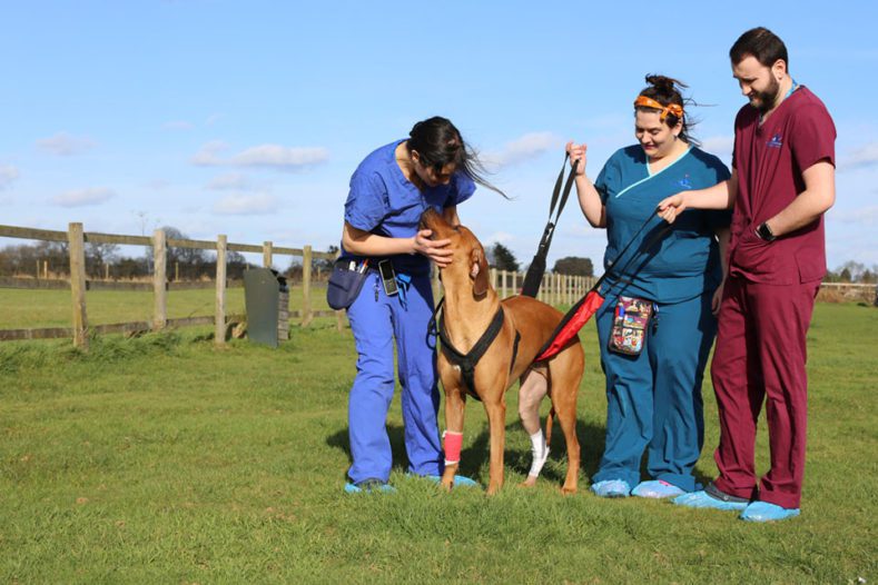 Patient walking outside with Fitzpatrick Referrals patient care team