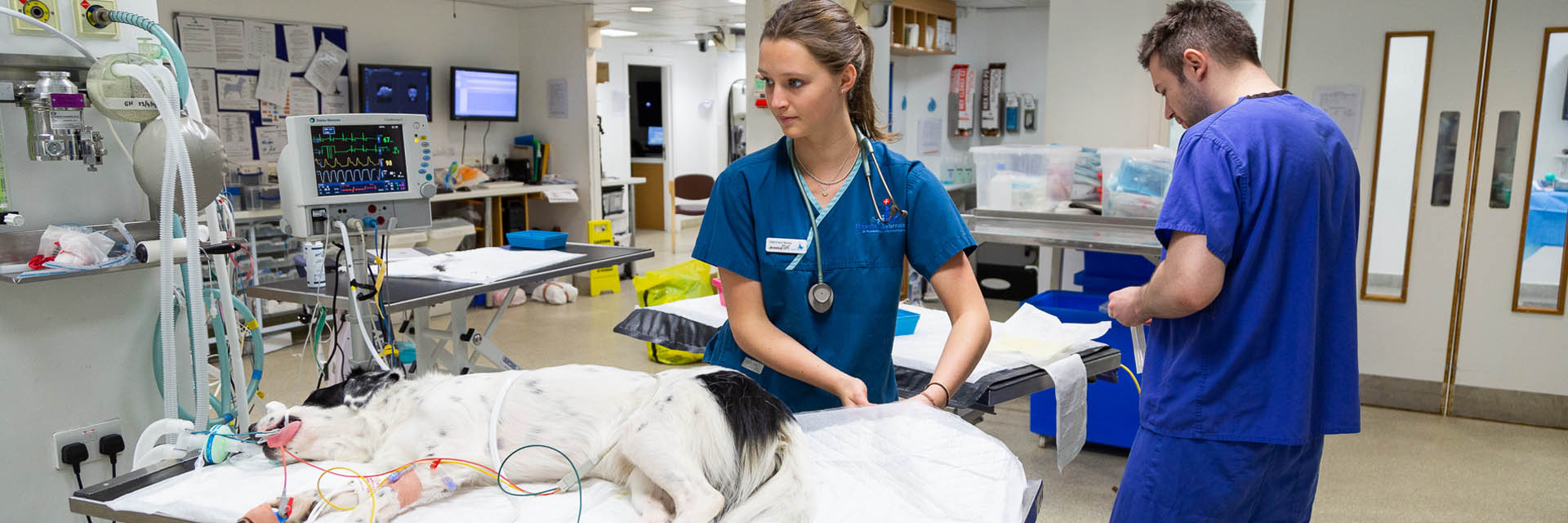 Nurse in prep at Fitzpatrick Referrals