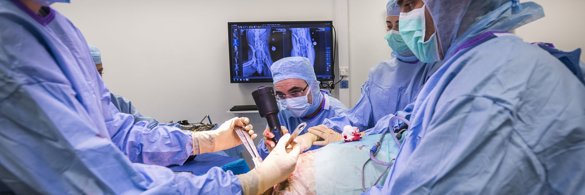 Professor Noel Fitzpatrick in surgery at Fitzpatrick Referrals