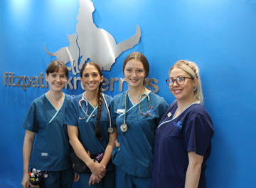 Registered Veterinary Nurses Denise, Lauren, Jess and Roxy