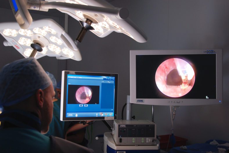 Specialist Gerard McLauchlan performing minimally invasive surgery on 6-month-old Golden Retriever patient Bobby, for an ectopic ureter, at Fitzpatrick Referrals Oncology and Soft Tissue hospital. Specialist Gerard McLauchlan performing surgery on a male dog with an ectopic ureter