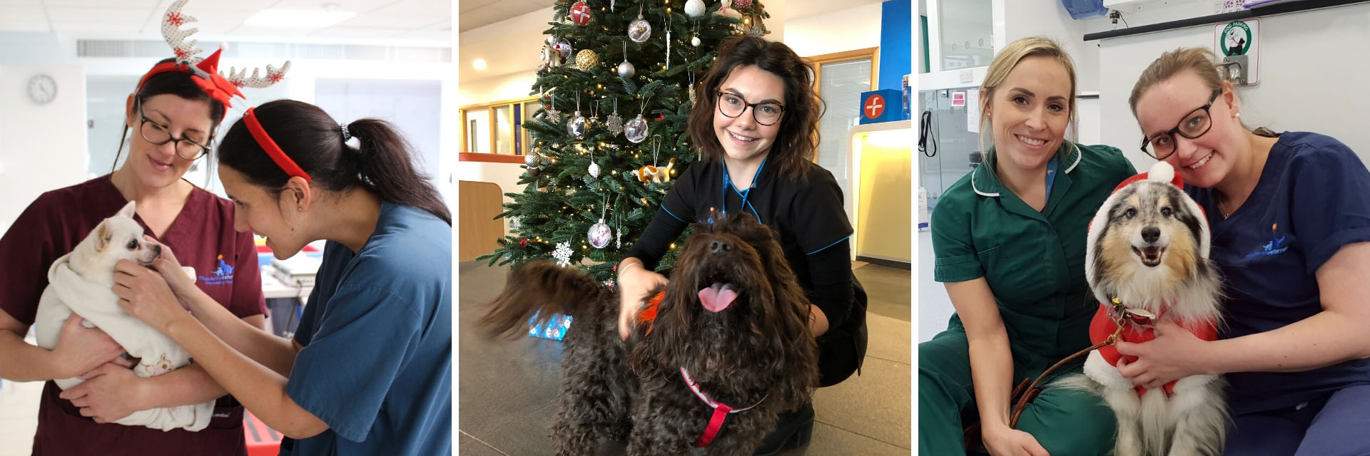 Fitzpatrick Referrals Christmas 2019 opening hours