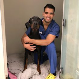 Feline Orofacial Pain Syndrome Fops Fitzpatrick Referrals