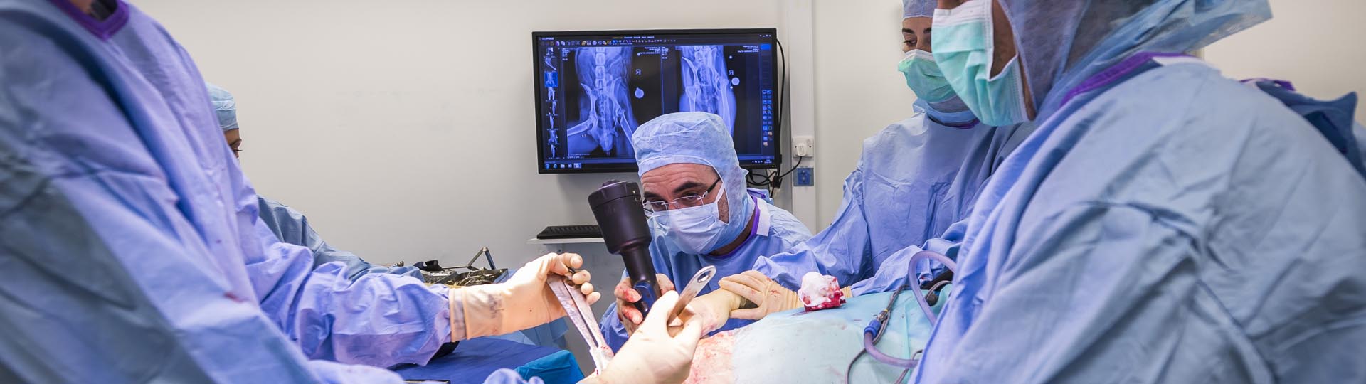 Professor Noel Fitzpatrick in surgery