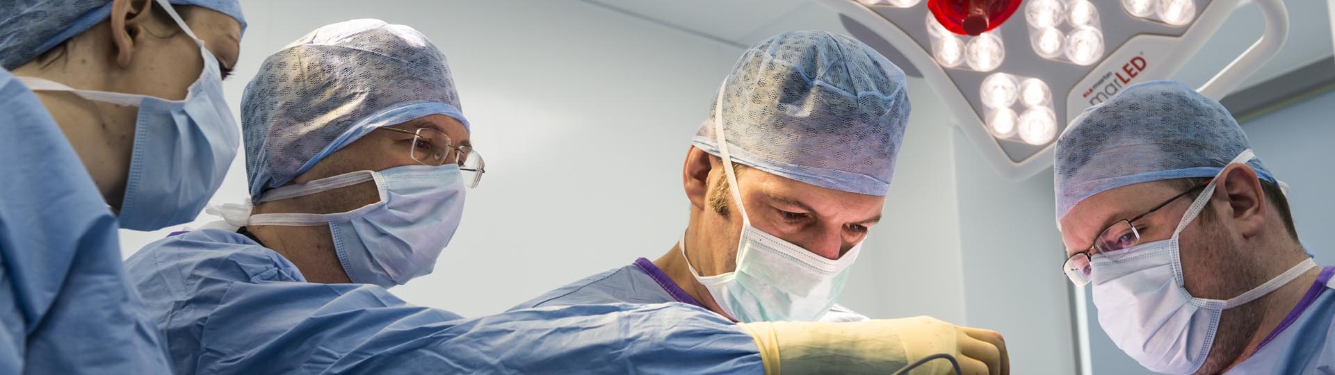 Veterinary referral services at Fitzpatrick Referrals