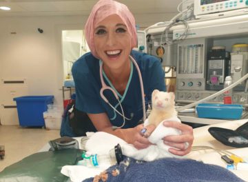 Nurse Lauren McCarthy and a ferret patient