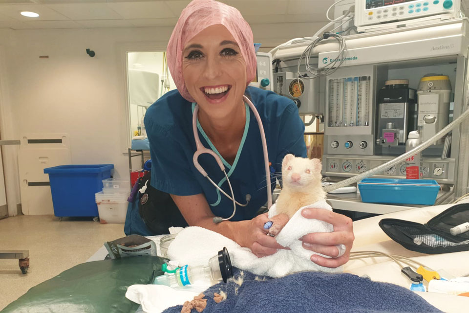 Nurse Lauren McCarthy and a ferret patient