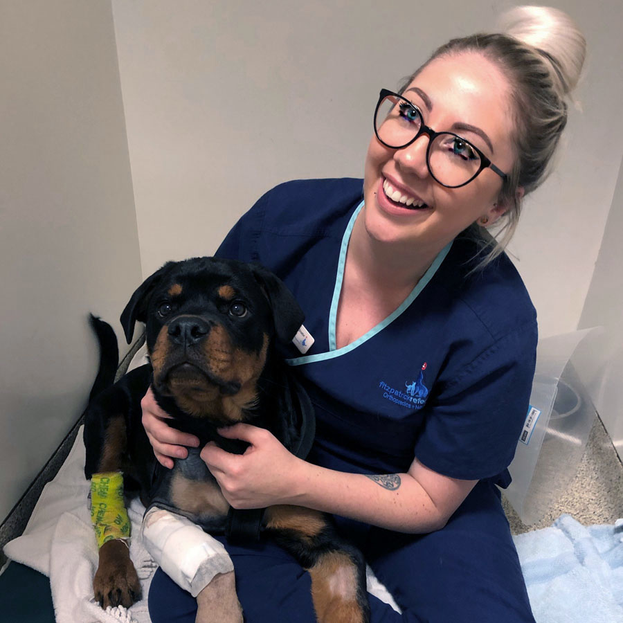 RVN Roxy O'Brien with puppy patient