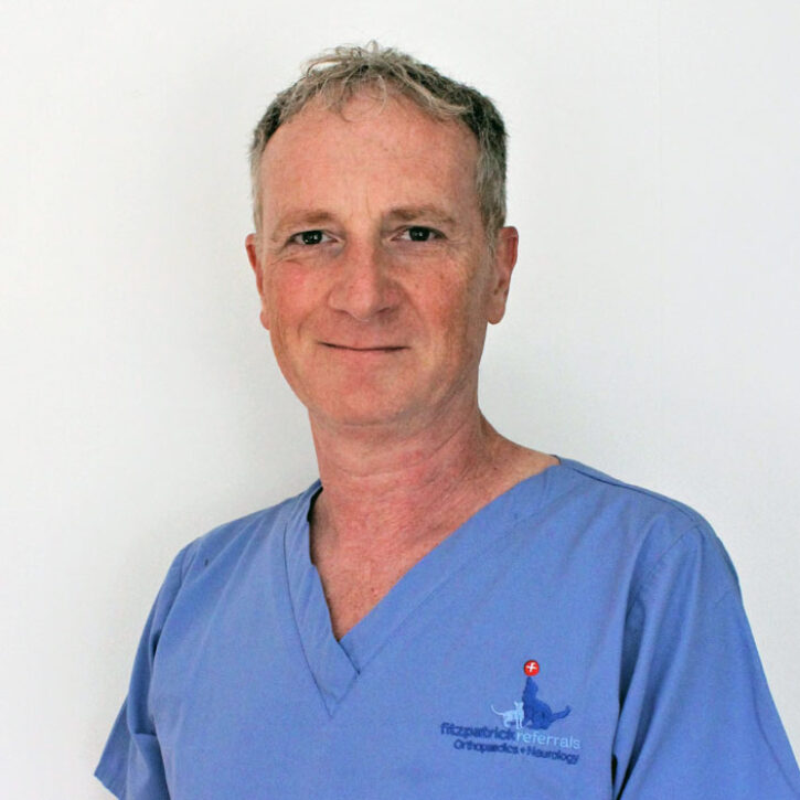 Dr Luca Ferasin EBVS & RCVS Specialist in Veterinary Cardiology