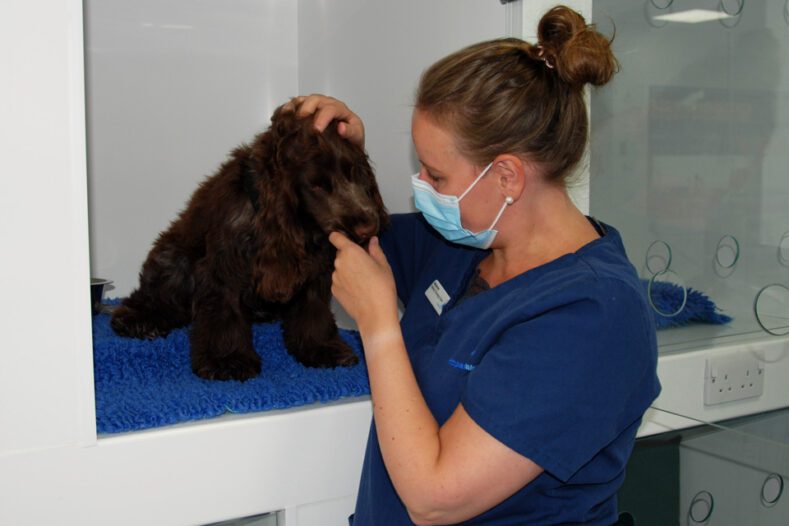 Medical Oncology Intern Marianne Lappalainen with patient at Fitzpatrick Referrals