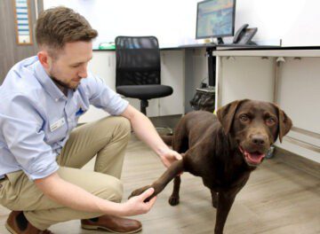 Specialist James Guthrie examining a patient in consult