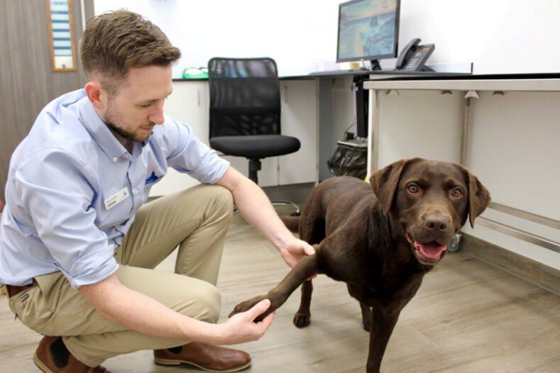 Specialist James Guthrie examining a patient in consult