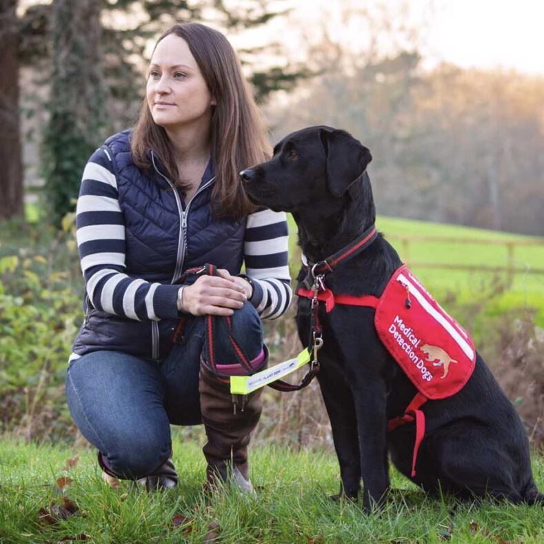 Black Labrador Assistance Dog - Medical Detection Dogs