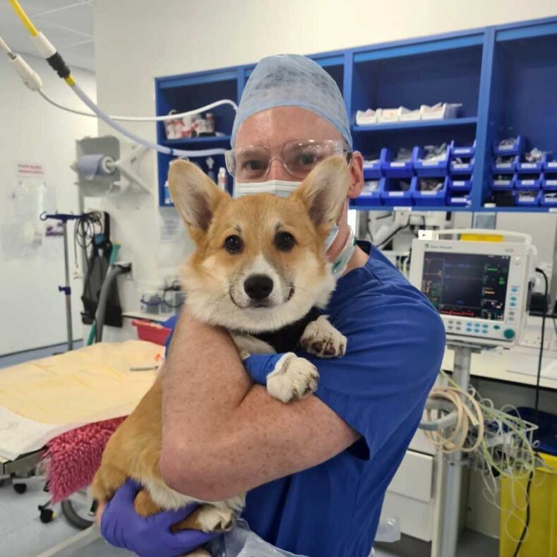 Internal Medicine specialist Dr Gerard McLauchlan with patient