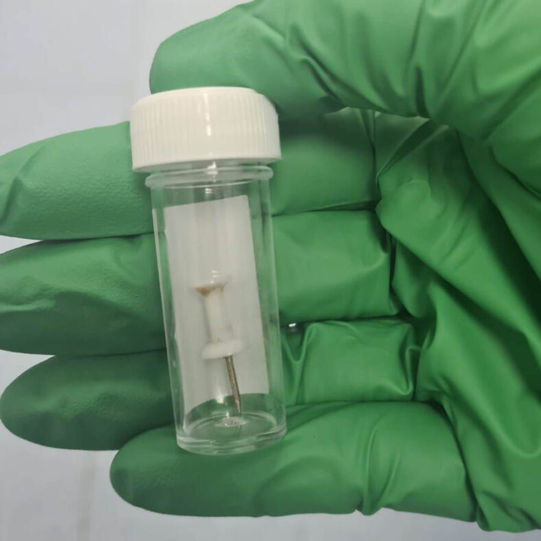 Drawing pin removed from a canine patient