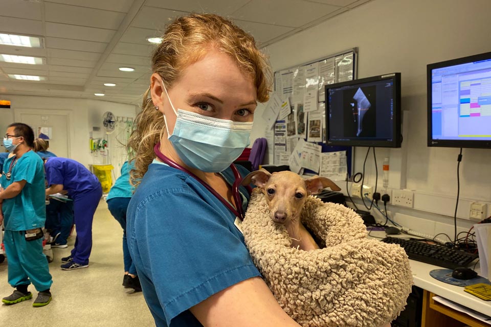 Registered Veterinary Nurse with patient at Fitzpatrick Referrals