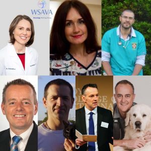 Vets appointed to the WSAVA's new Oncology Working Group