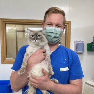 Veterinary surgeon holding a feline patient at Fitzpatrick Referrals.