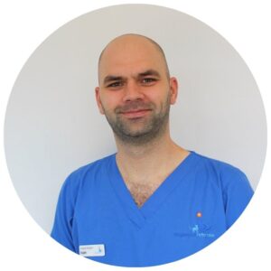 Surgical Resident (ECVS) Dr Ivan Kalmukov