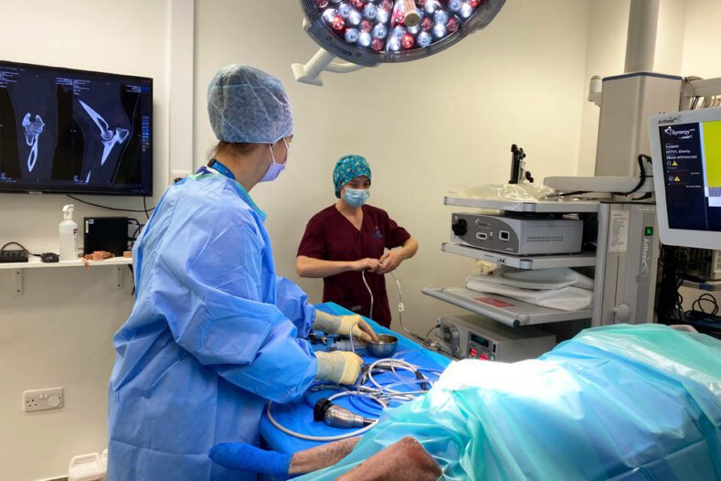 Fitzpatrick Referrals Intern and surgical technician prepping for arthroscopy