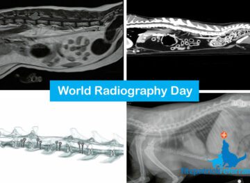 World Radiography Day MRI CT & X-ray imaging montage