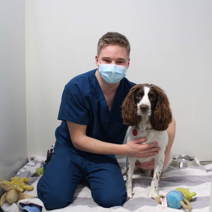 RVN caring for a patient in the kennels