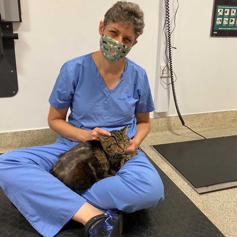 Professor Clare Rusbridge sitting on the floor of her consult room with a feline patient