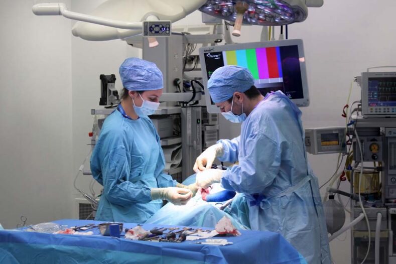 A vet on our surgical internship programme in theatre assisting specialist with surgery