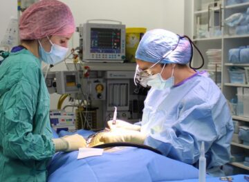 Neurology Registrar and Intern in surgery