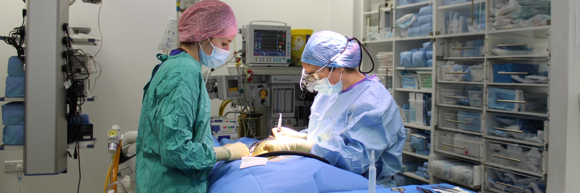 Neurology Registrar and Intern in surgery