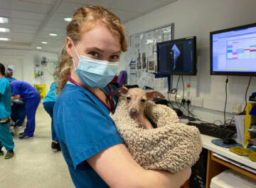 RVN cuddling a canine patient in prep