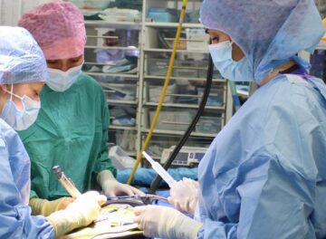 Veterinary neurologist in surgery
