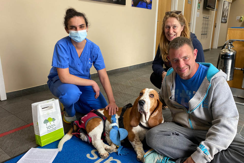 Basset Hound sitting on the floor with vet and family