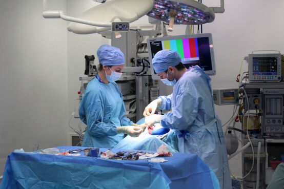 Q A With Surgical Intern Dr Dominique Palper 20 June 2022 