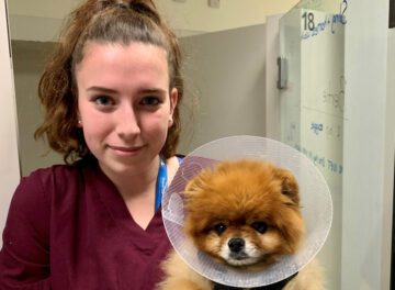 Veterinary Auxiliary Emily holding a Pomerianian puppy