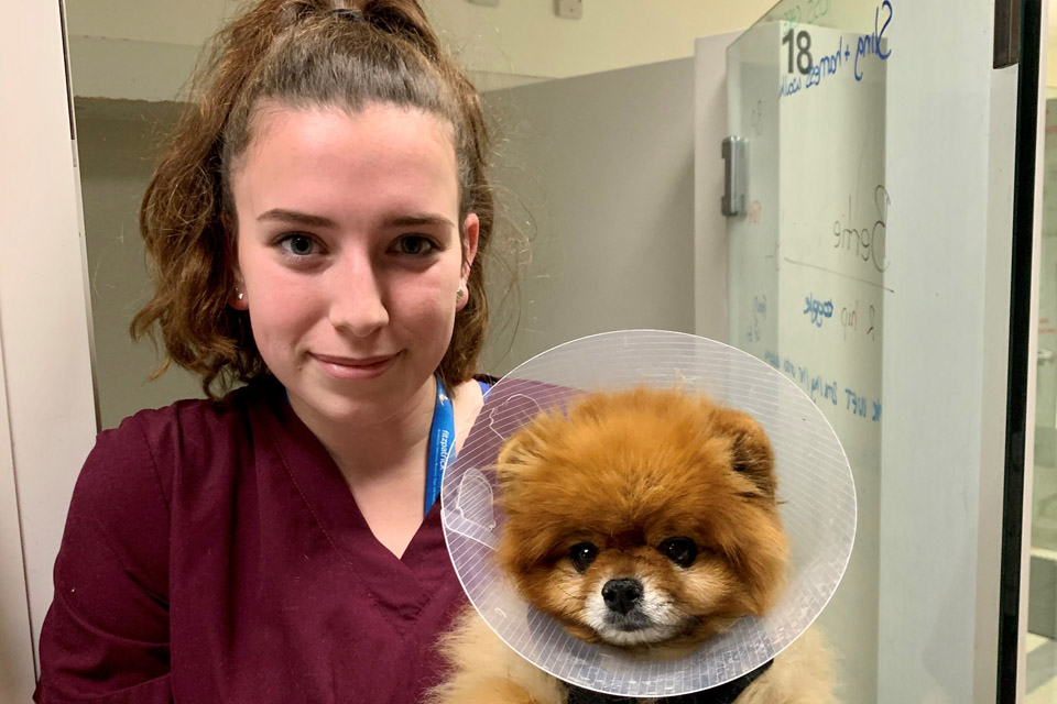 Veterinary Auxiliary Emily holding a Pomerianian puppy