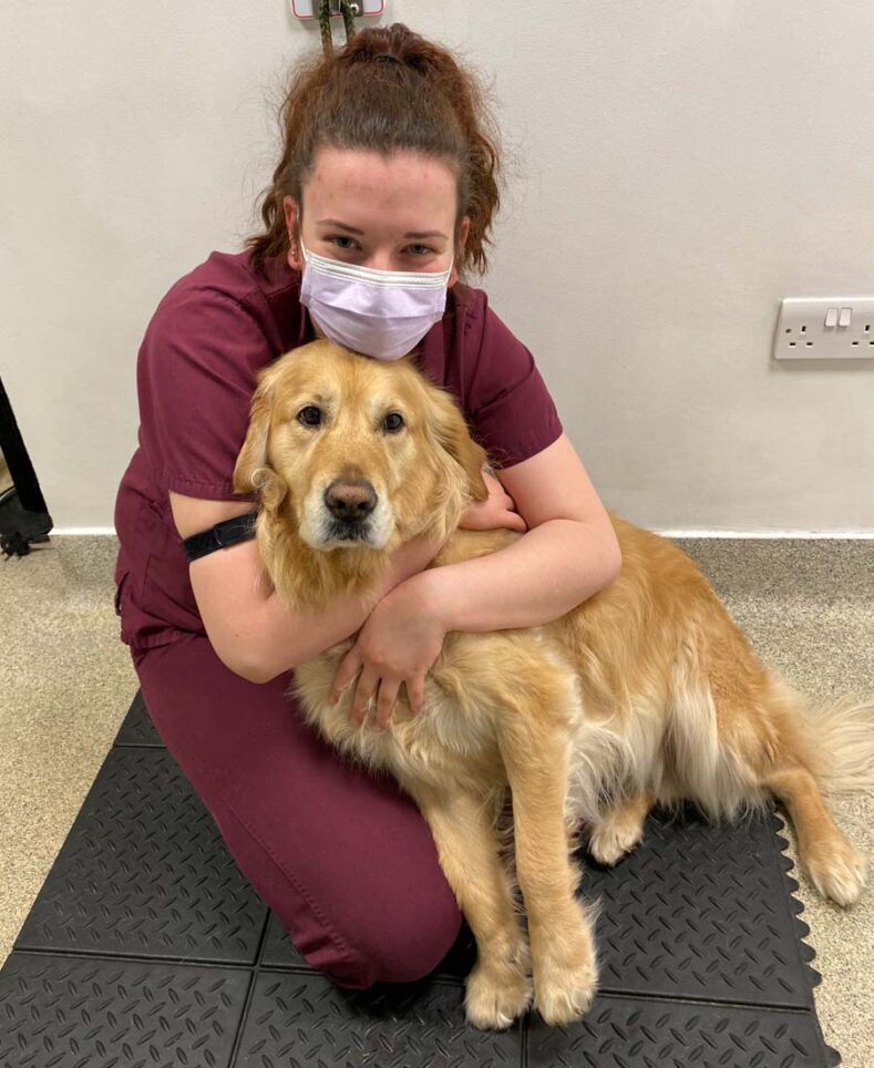 Veterinary auxiliary cuddling a Golden Retriever