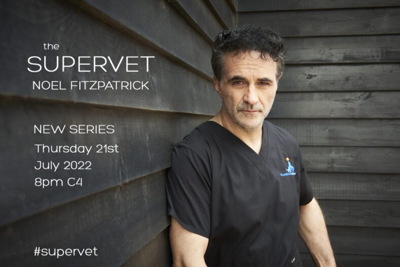 The Supervet Professor Noel Fitzpatrick