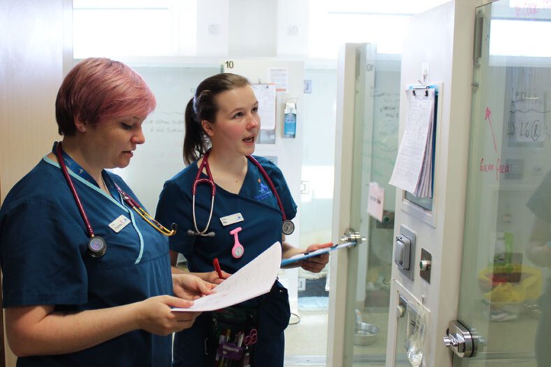 Veterinary nurses discussing patients in the wards
