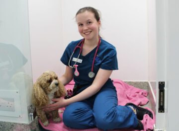 Veterinary nurse sitting in kennel with a small dog