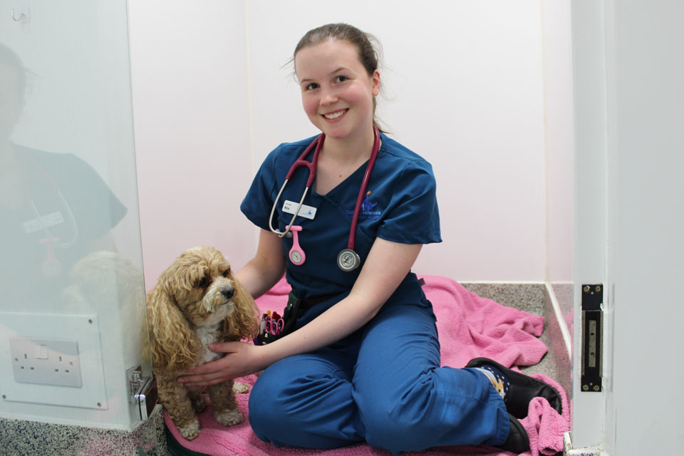Veterinary nurse sitting in kennel with a small dog