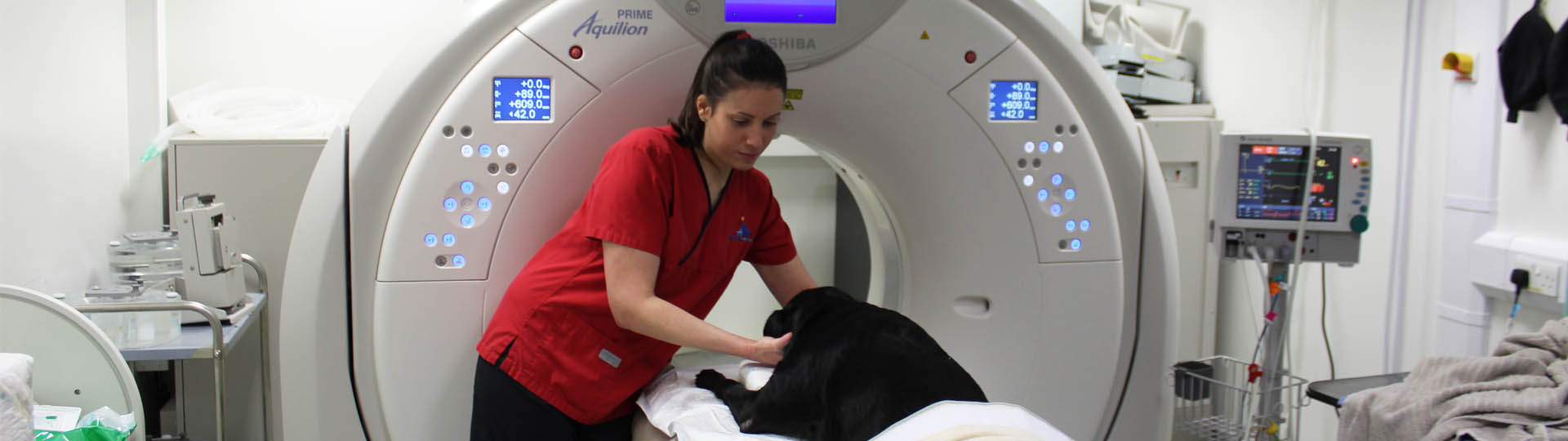 Radiographer positioning black labrador in CT scanner