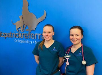 Two veterinary nurses at Fitzpatrick Referrals