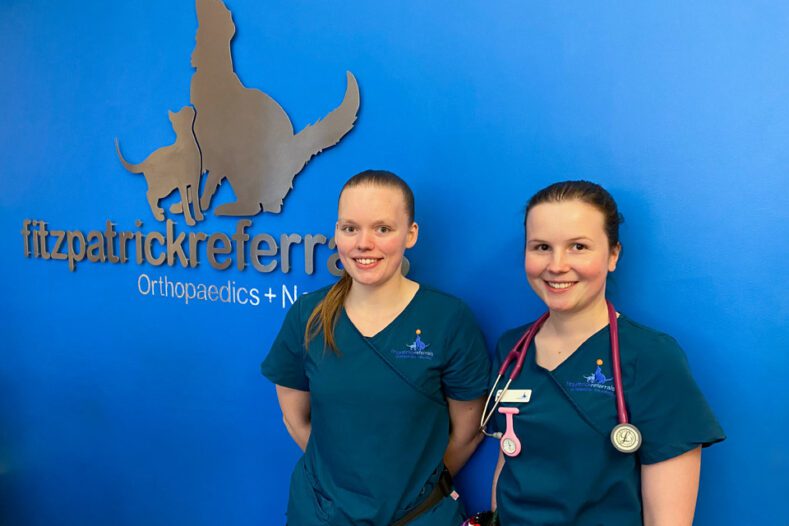 Two veterinary nurses at Fitzpatrick Referrals