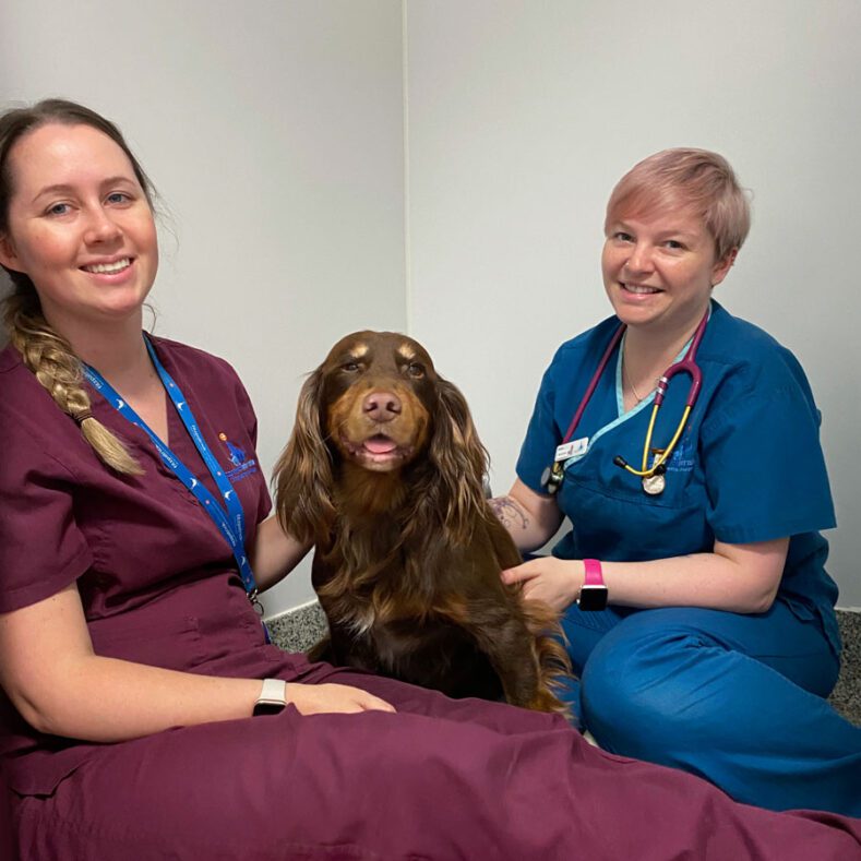 Veterinary nurses sitting with a dog