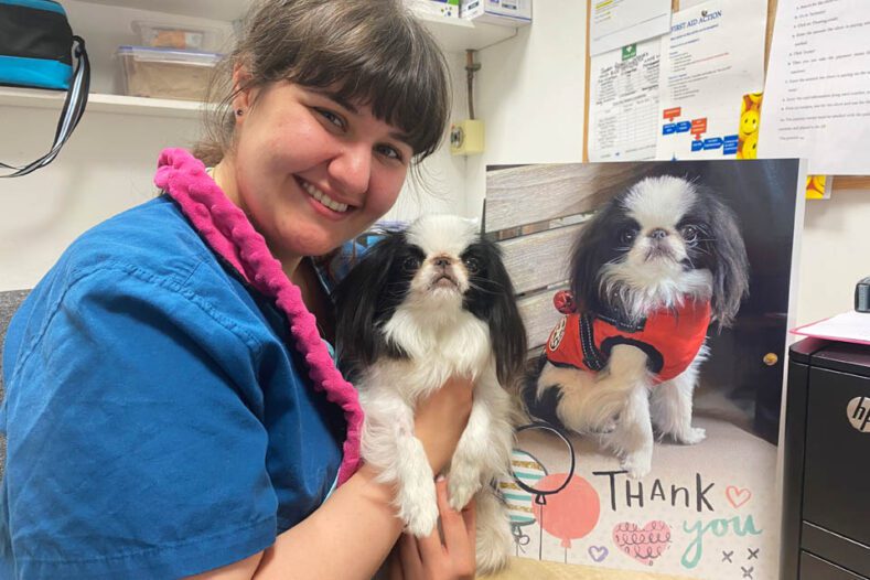 Veterinary Nurse holding a toy breed dog next to its life-size thank you card