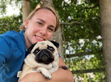 Veterinary nurse cudding a pug patient