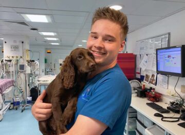 Registered Veterinary Nurse cuddling a brown cocker spaniel puppy