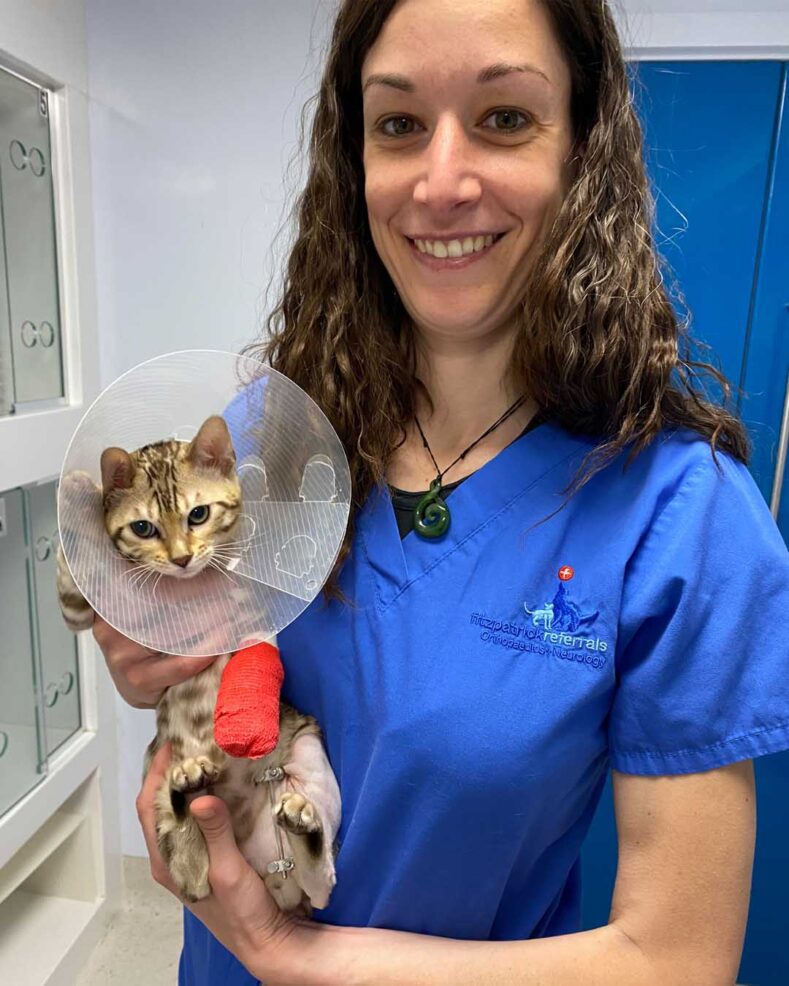 Veterinary Surgeon Nuria Comas holding Bengal kitten following surgery